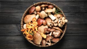 Variety of mushrooms in basket