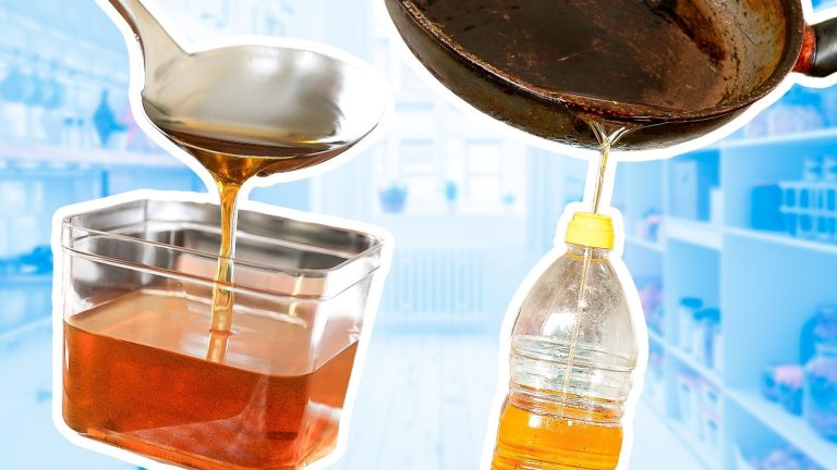 https://www.tastingtable.com/1487453/best-ways-dispose-used-cooking-oils/